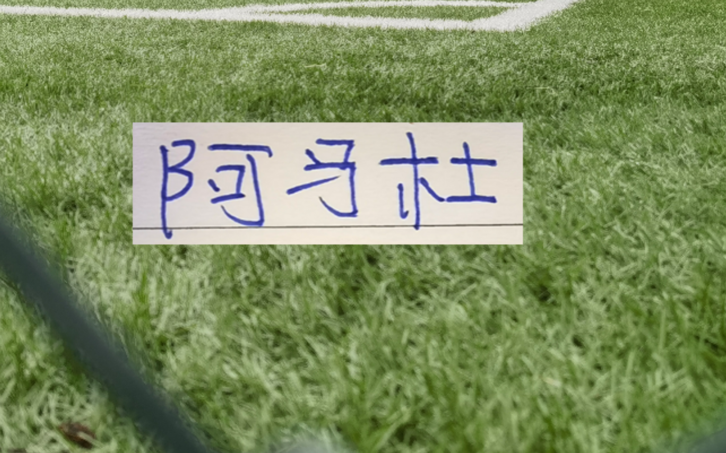 kaiyun-第一轮外援中场大腿 没想到前申花外援阿马杜回春了！