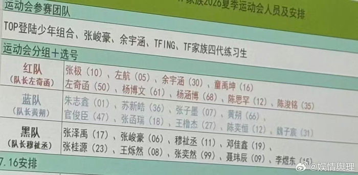 云开体育-TF家族夏日运动会分组阵容曝光|皓极|涵坤|黄朔|苏新皓|志极_新浪体育_新浪新闻